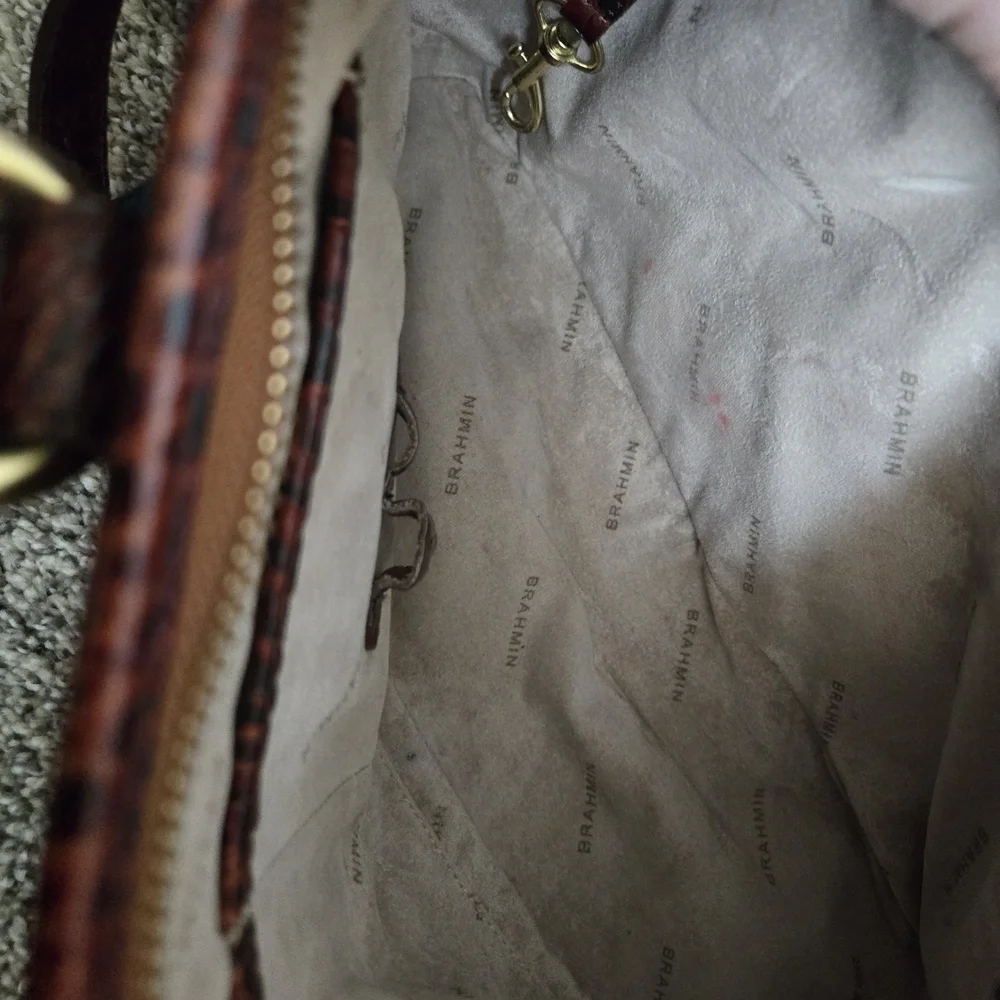 Brahmin gently used